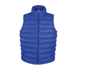 Result RS193 - Ice Vogel Gesteppte Weste Royal Blue