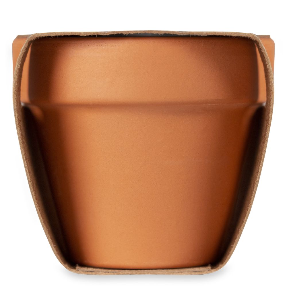 GiftRetail MO6146 - FORGET ME NOT Terracotta-Topf Vergissmeinnich