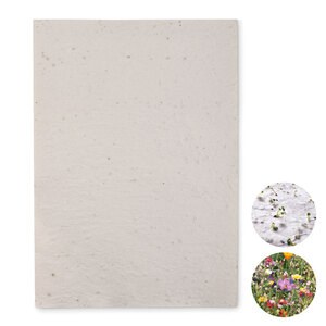 GiftRetail MO6914 - ASIDI DIN A4 Wildblumen-Samenpapier Weiß