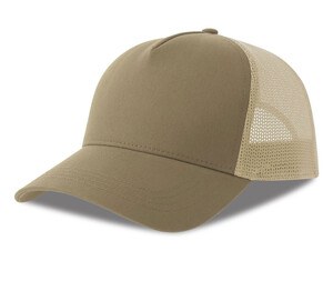 Khaki/ Stein
