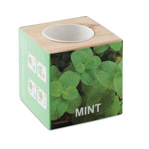 GiftRetail MO9337 - MENTA Kräuterpflanz-Set "Minze