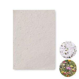 GiftRetail MO6916 - ASIDO DIN A6 Wildblumen-Samenpapier