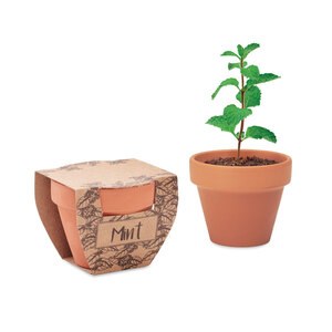 GiftRetail MO2218 - MINT POT Terrakotta-Topf Minze